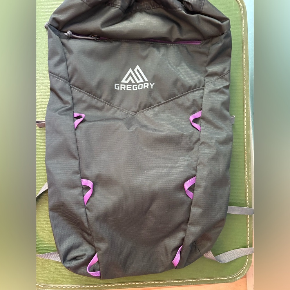 Gregory Charcoal and Magenta Backpack